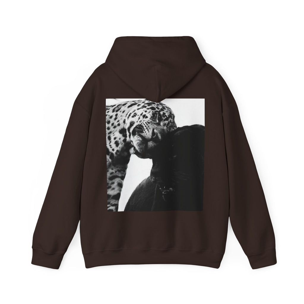Panthers Luxe Sweatshirt
